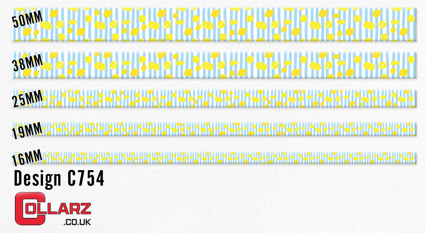 Design C754 UV printed Biothane® beta