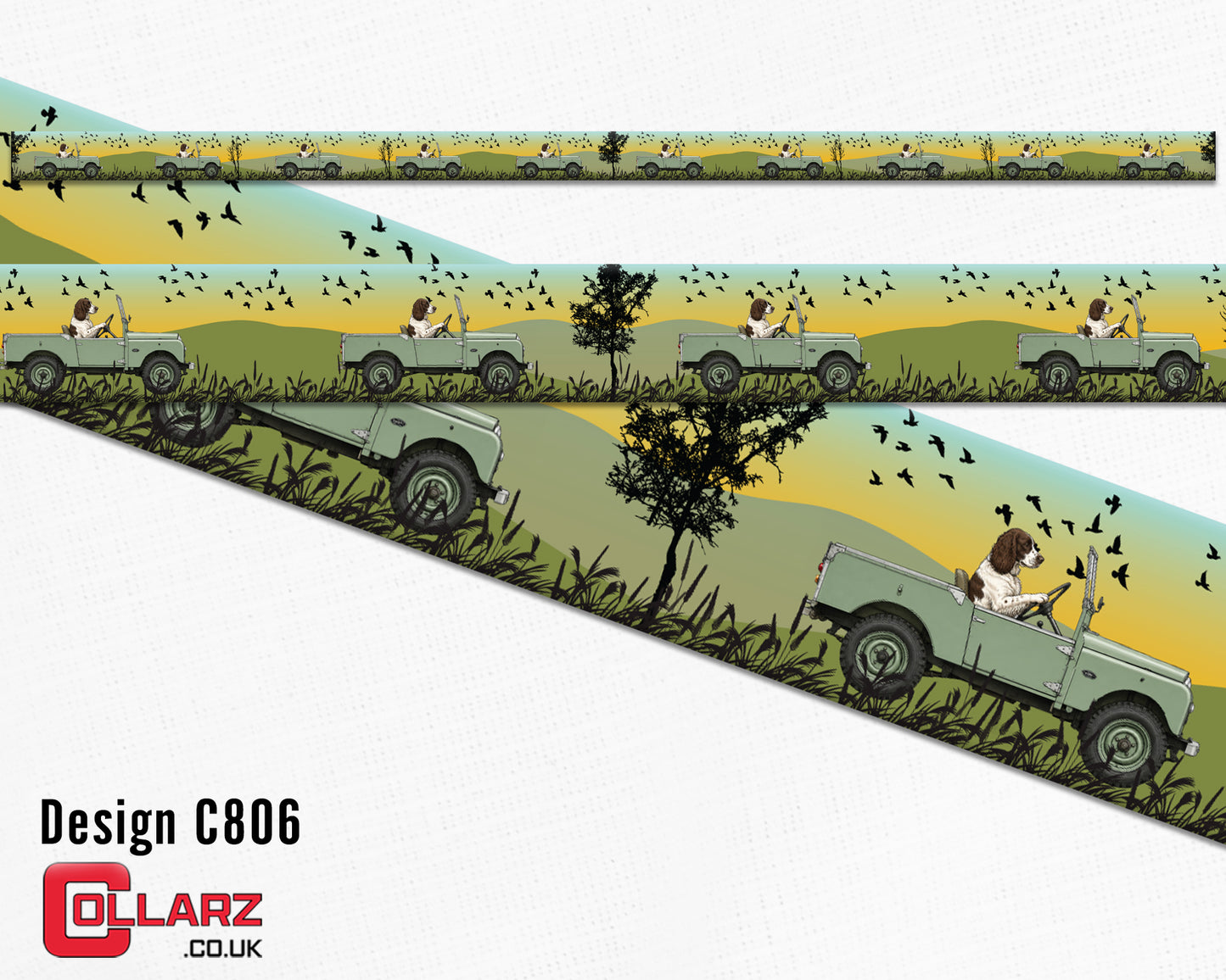 Design C806 UV printed Biothane® beta