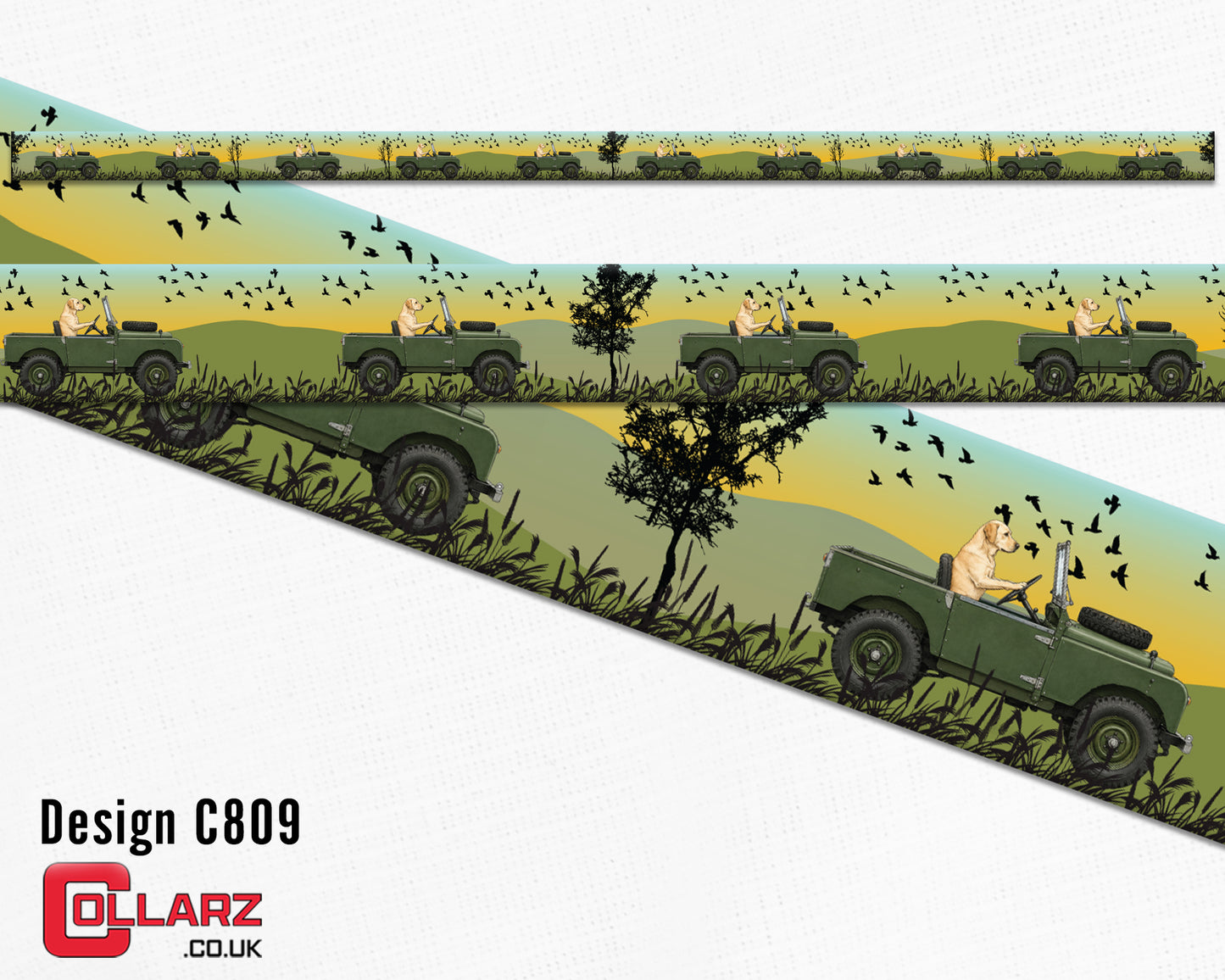 Design C809 UV printed Biothane® beta