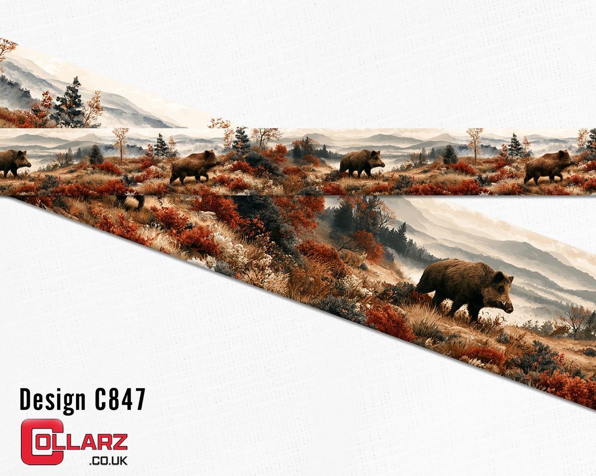 Design C847 UV printed Biothane® beta