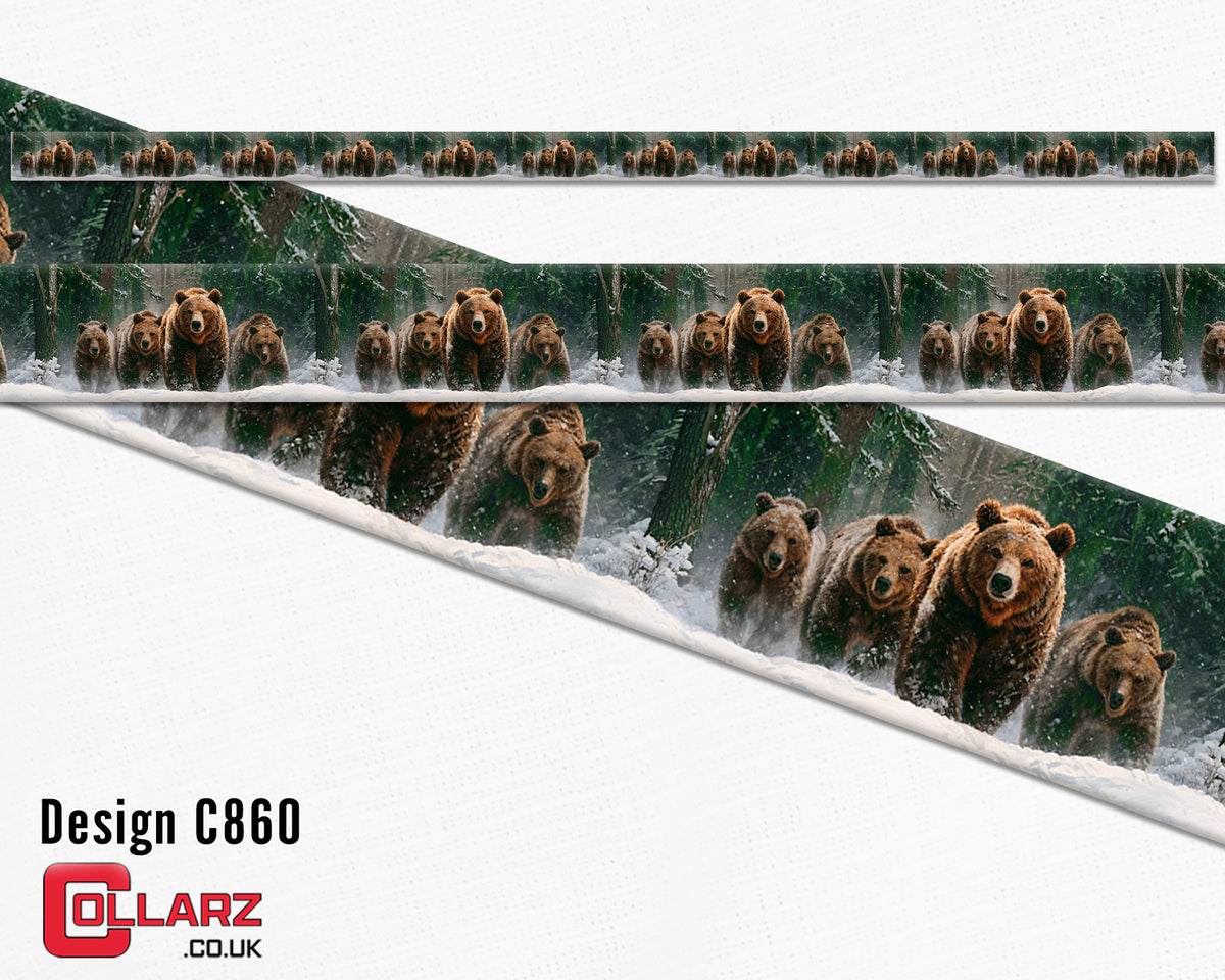 Design C860 UV printed Biothane® beta