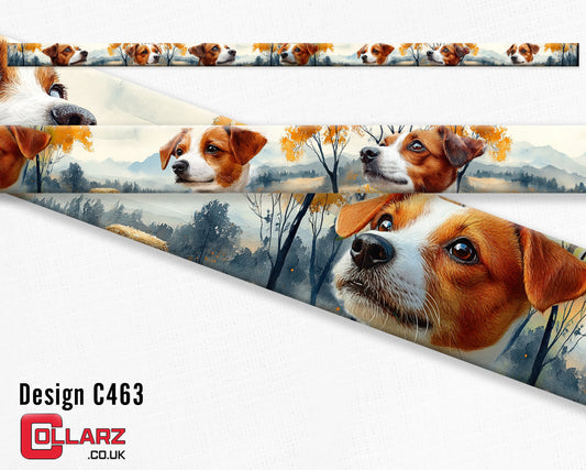 Design C463 UV printed Biothane® beta