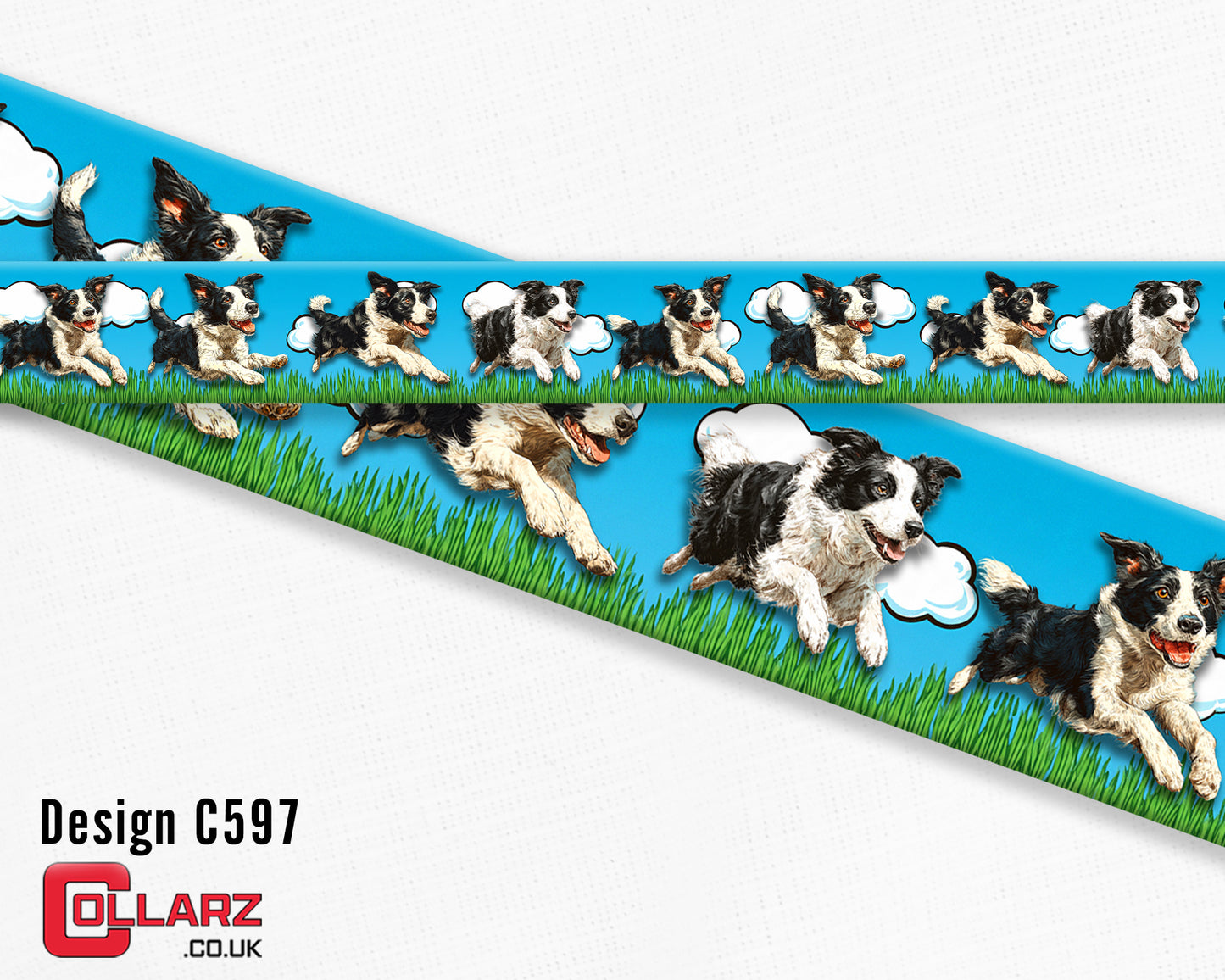 Design C597 UV printed Biothane® beta