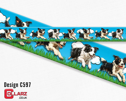 Design C597 UV printed Biothane® beta