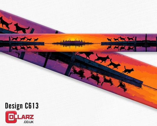 Design C613 UV printed Biothane® beta