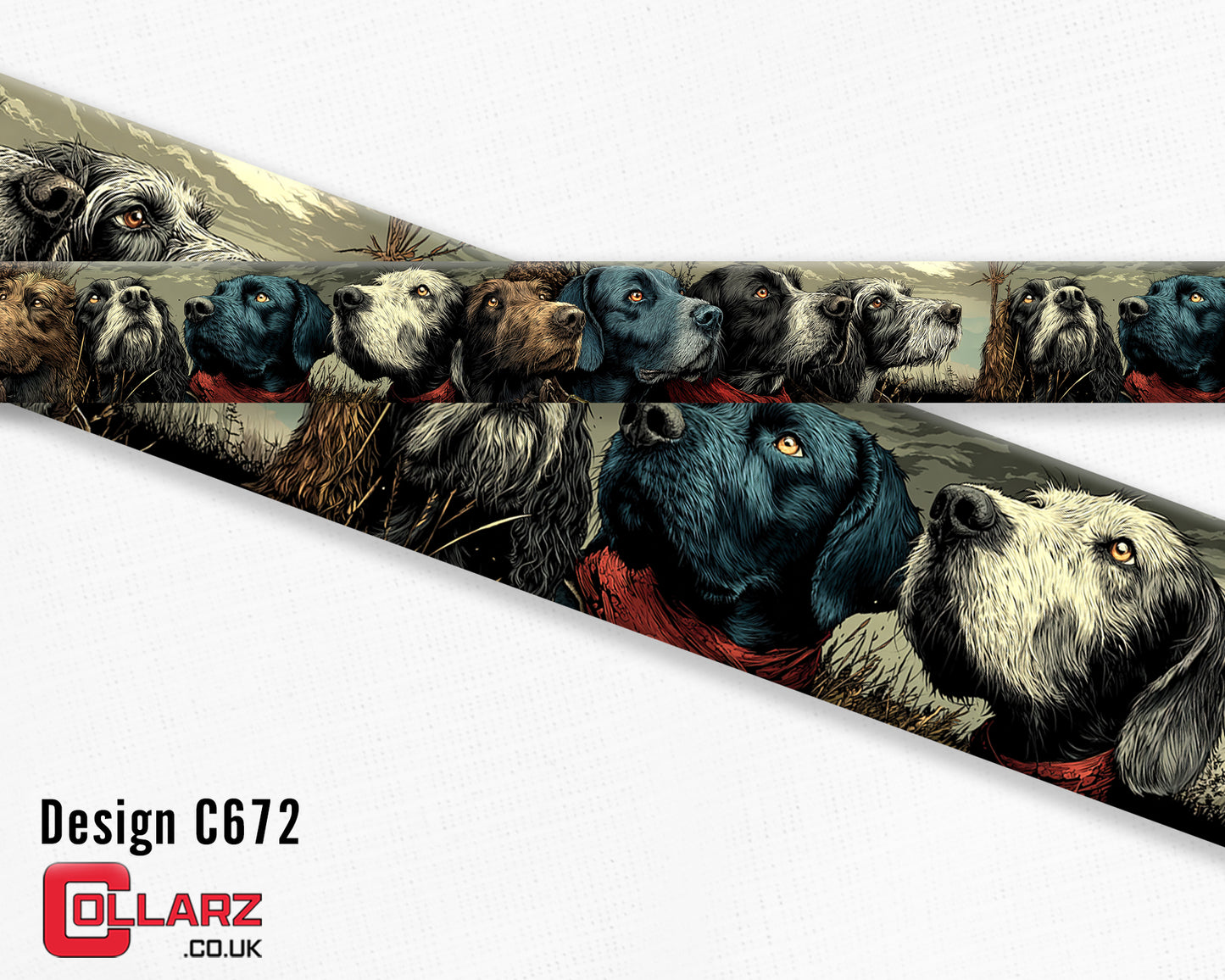 Design C672 UV printed Biothane® beta