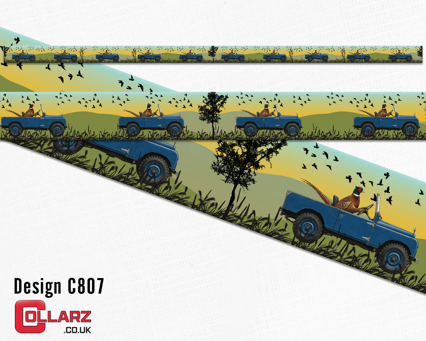 Design C807 UV printed Biothane® beta