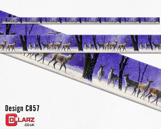 Design C857 UV printed Biothane® beta