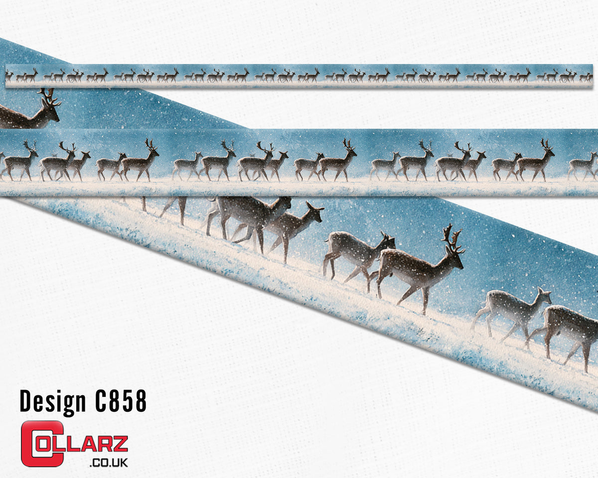 Design C858 UV printed Biothane® beta