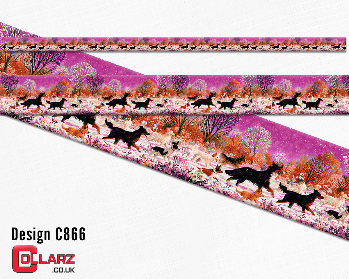 Design C866 UV printed Biothane® beta