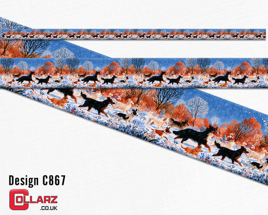 Design C867 UV printed Biothane® beta
