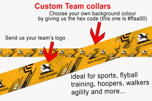 Customised Team Design UV printed Biothane® beta