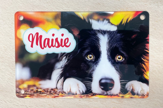 Crate / Wall plaques